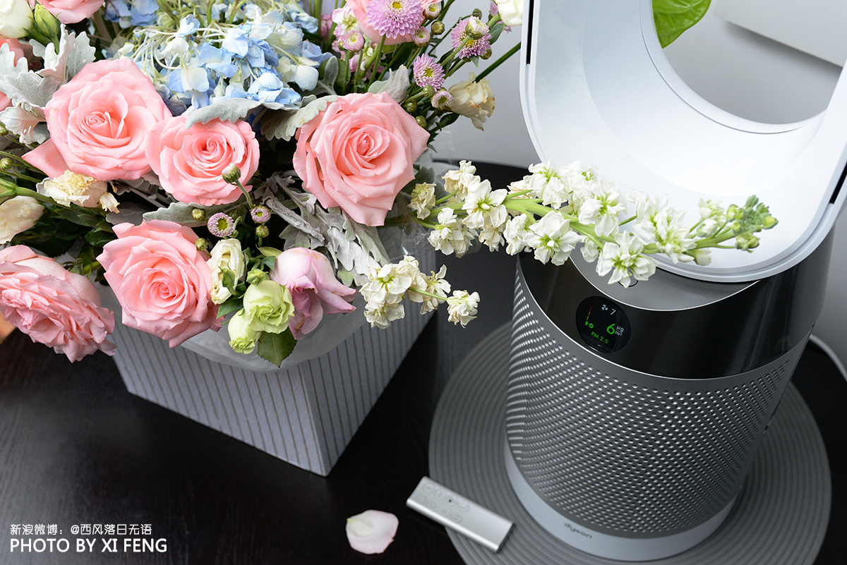 戴森投资25亿美元,dyson戴森purecool空气净化风扇