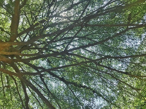 4月泰国泼水节攻略,芭提雅旅游数据泼水节