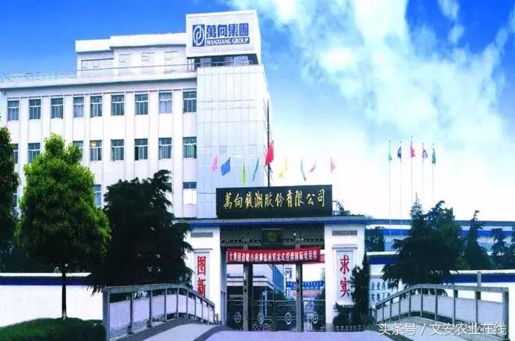 为什么大佬都投入农业,为什么商业大佬都去搞农业