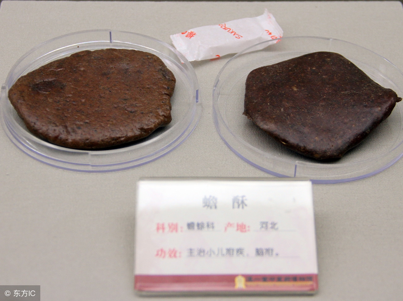 中成药六神丸的合理使用图片,中药六神丸是怎么用的