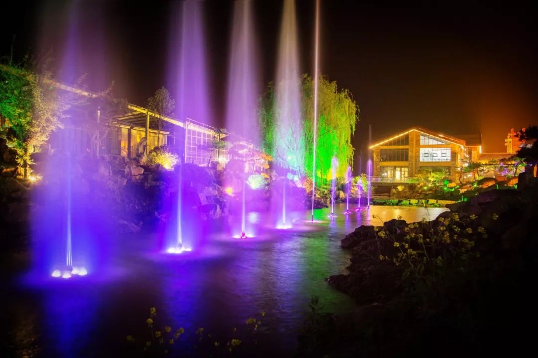 端午节我们要划龙舟还要干什么呢,端午节划龙舟的地方在哪里