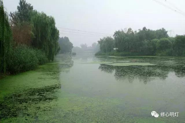 乾隆这么好色，为什么还活了89岁？