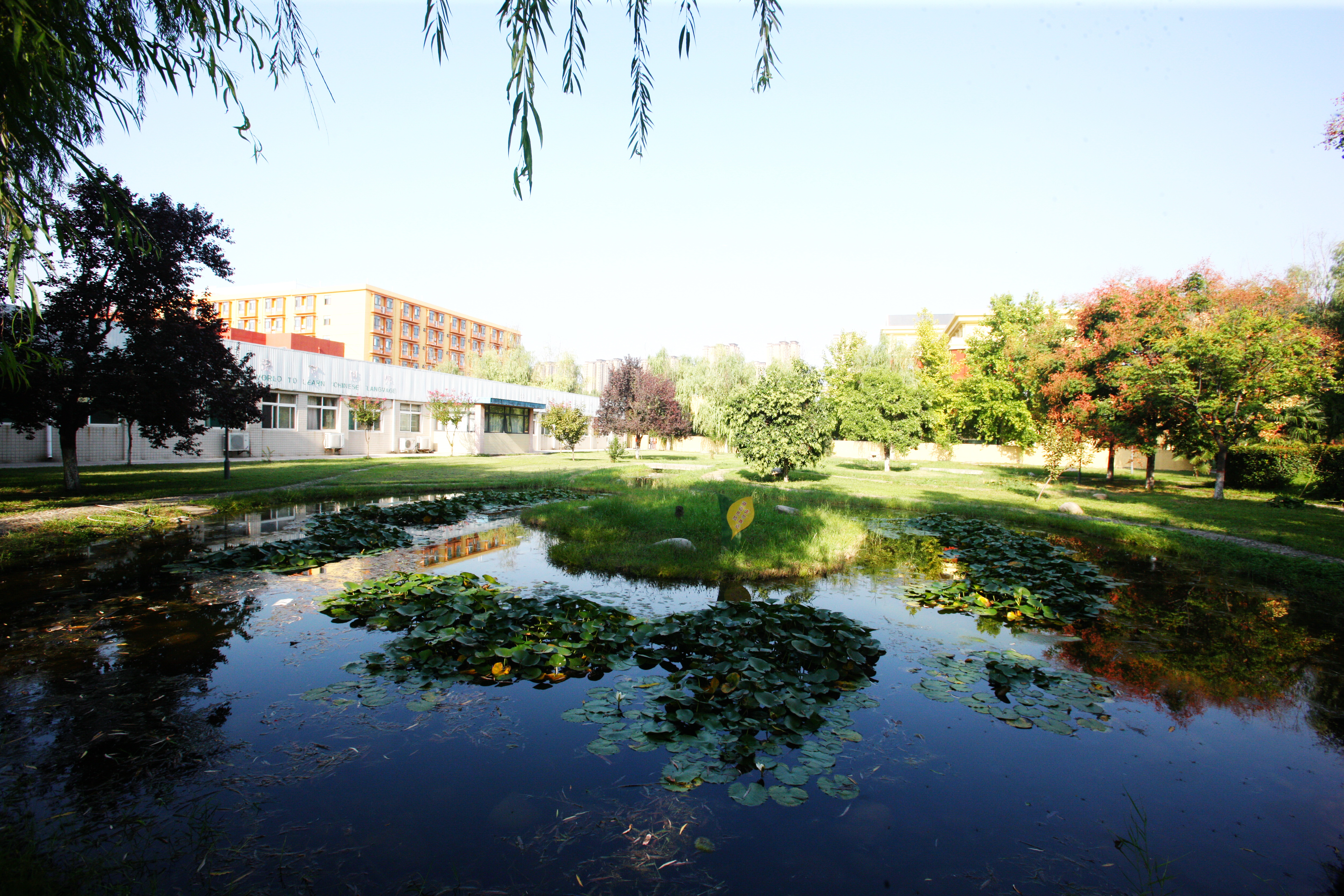 西安博爱国际学校和西安高级中学,西安市博爱国际学校