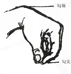 武术基本功难度大的动作,武术基本功高难度动作