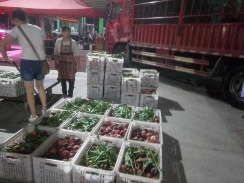 新雪域果蔬城水果旺销，刷新记录，遵义“菜篮子”即将重磅面市！