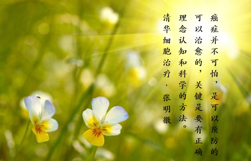 子宫内膜癌nccn指南2020中文版,子宫内膜癌b期怎么样