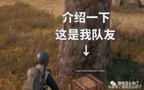 cod黑色行动6 (cod16黑色行动4是什么)