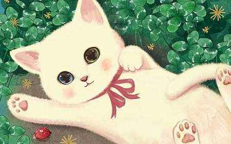 怎样知道猫咪的星座是什么座,十二星座的猫咪性格排名