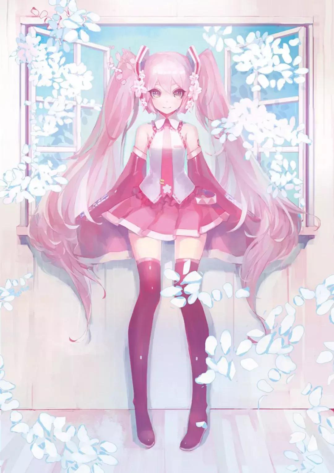 本期壁纸,本期壁纸orange