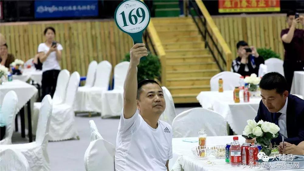 山西玉龙马业拍卖会,中国马拍卖会