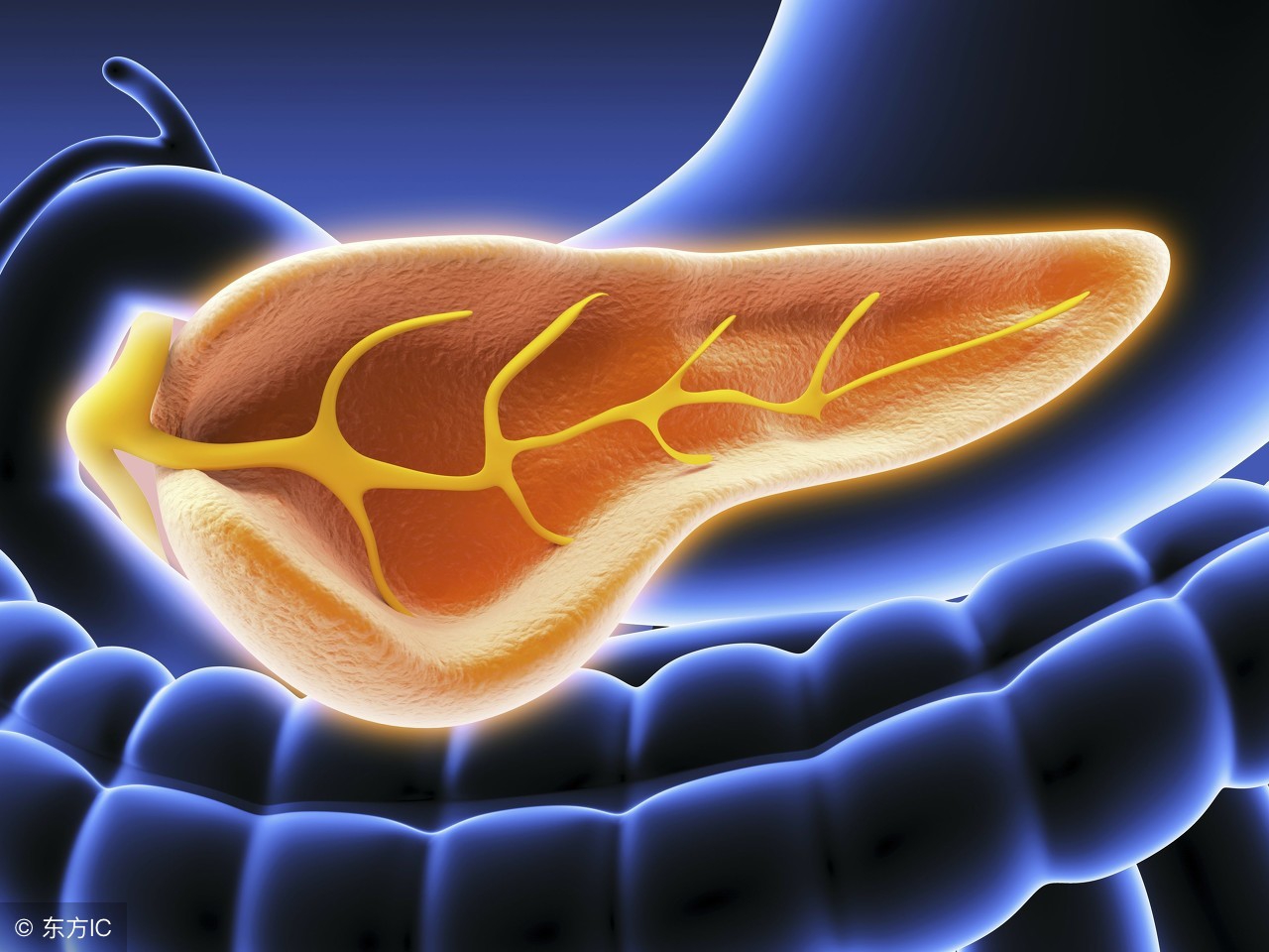 慢性胆囊炎服用什么药物能痊愈,慢性胆囊炎需要吃多久药能治好