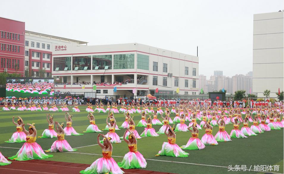 榆阳区中小学生运动会十七小,2023榆阳区中小学生运动会