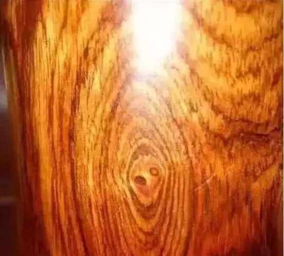 海南黄花梨木品种大全,名贵木材海南黄花梨