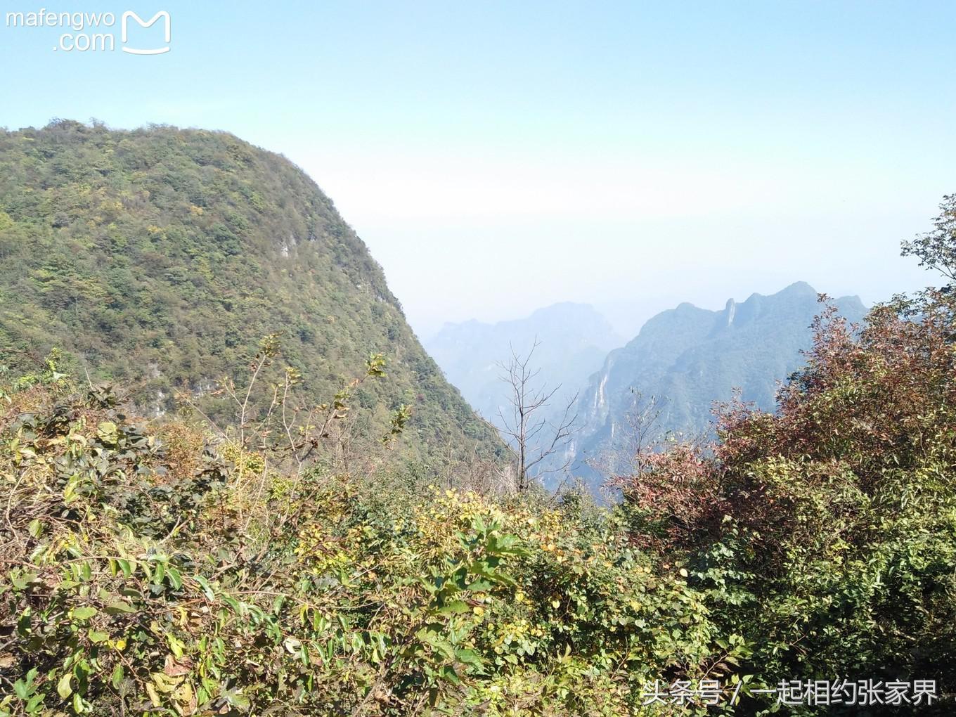 张家界机场到天门山自由行攻略,张家界天门山一日游攻略省钱