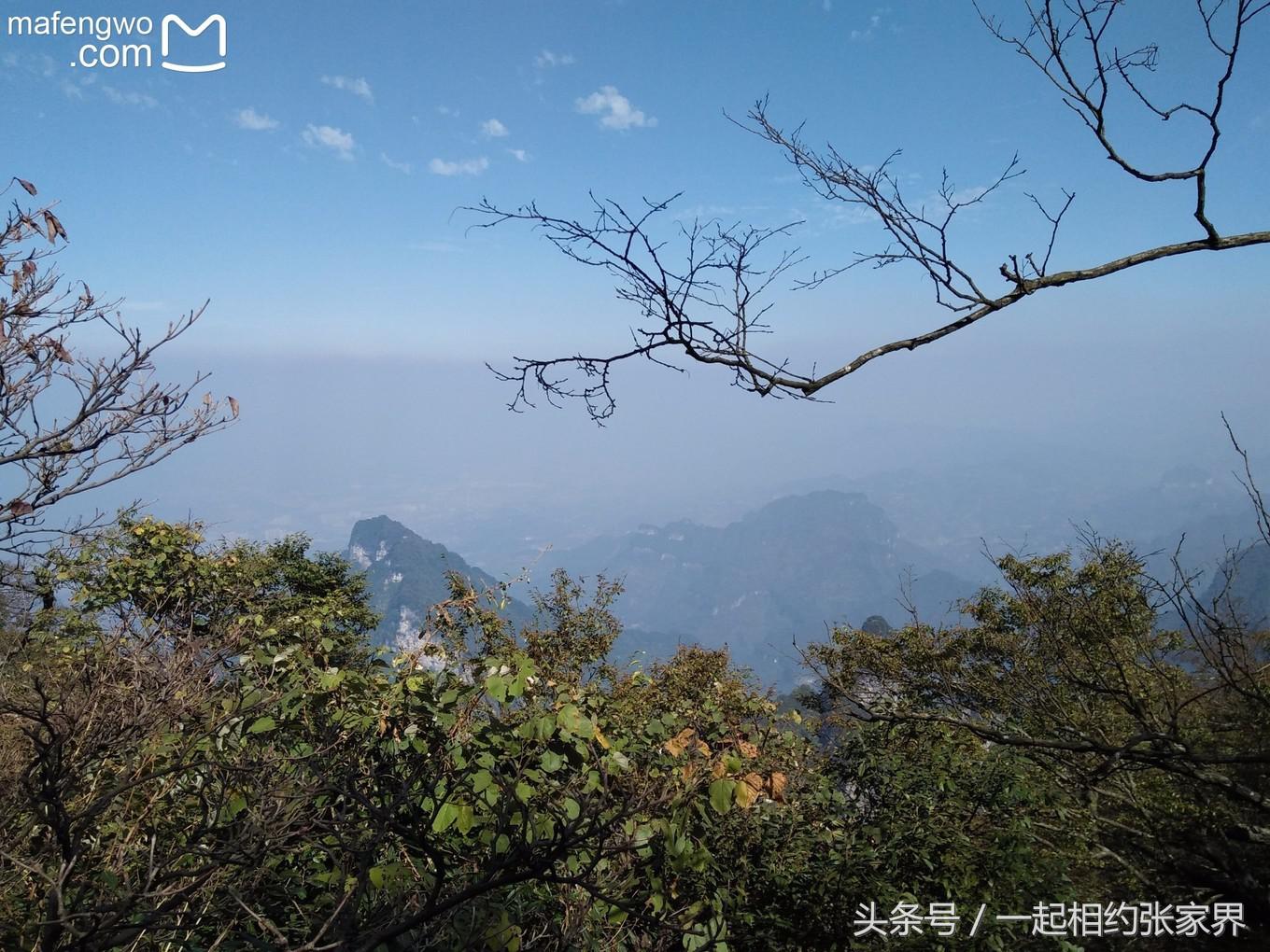 张家界机场到天门山自由行攻略,张家界天门山一日游攻略省钱