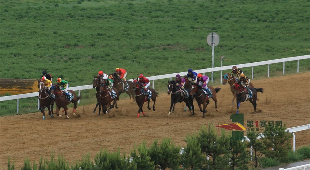 「现场」玉龙今日开锣赛，各路诸侯鏖战百万奖金！马主李勇夺最高奖金，“吉祥如意”马主王福军首战载誉归——1赛马网
