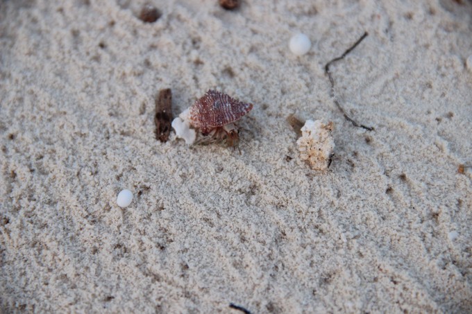 马代有毒，去过就停不下来~马尔代夫奥臻岛ozen