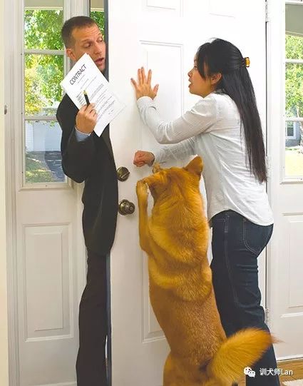 外人一来狗狗就吠叫应该怎么办,一有人进房间狗狗就开始叫