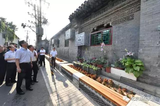 区领导深入乡督导检查重点工作,区领导调研督导环保工作