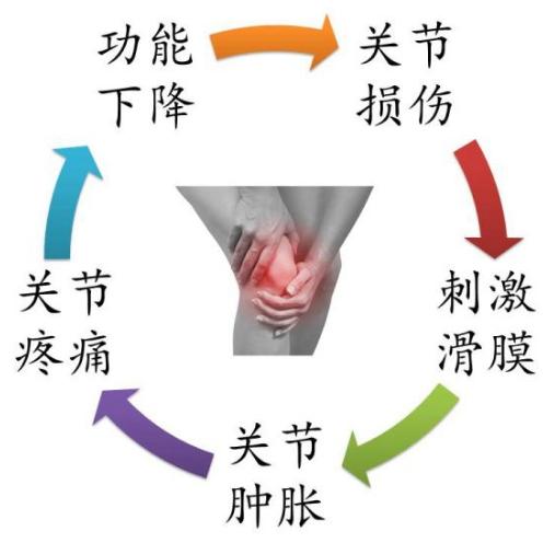 膝关节积液膝盖肿,膝关节置换后膝盖积液怎么治疗