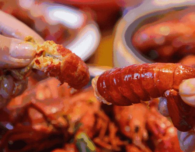 小龙虾主题旅行,小龙虾自由之旅