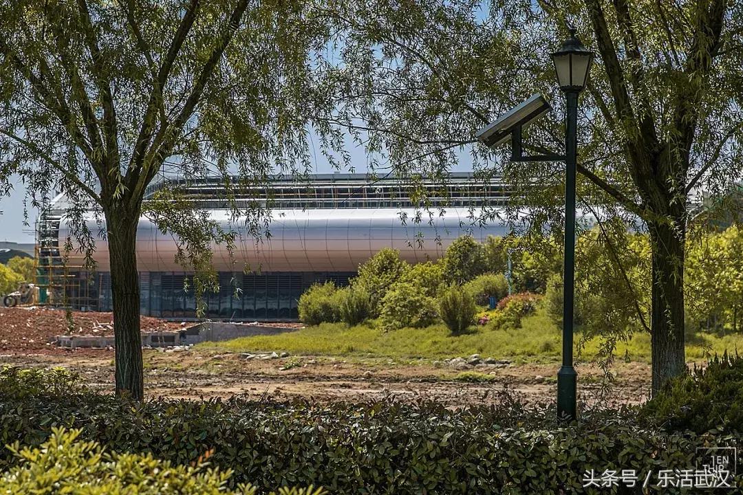 武汉有名的别称,武汉各个大学绰号