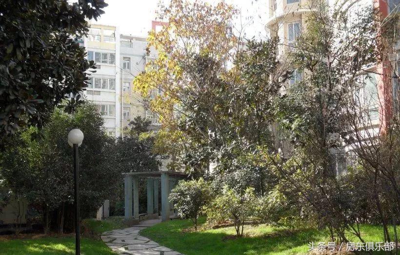 为何“正商系”要在追求品质的路上狂奔？