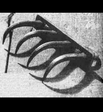 盘点欧洲10大酷刑西班牙驴子将女人撕裂两半！