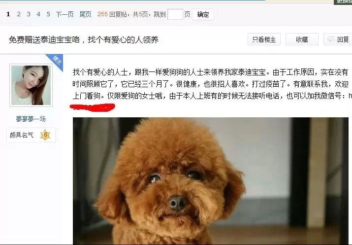 108种微商加人的方法,100种社群拉人的方法