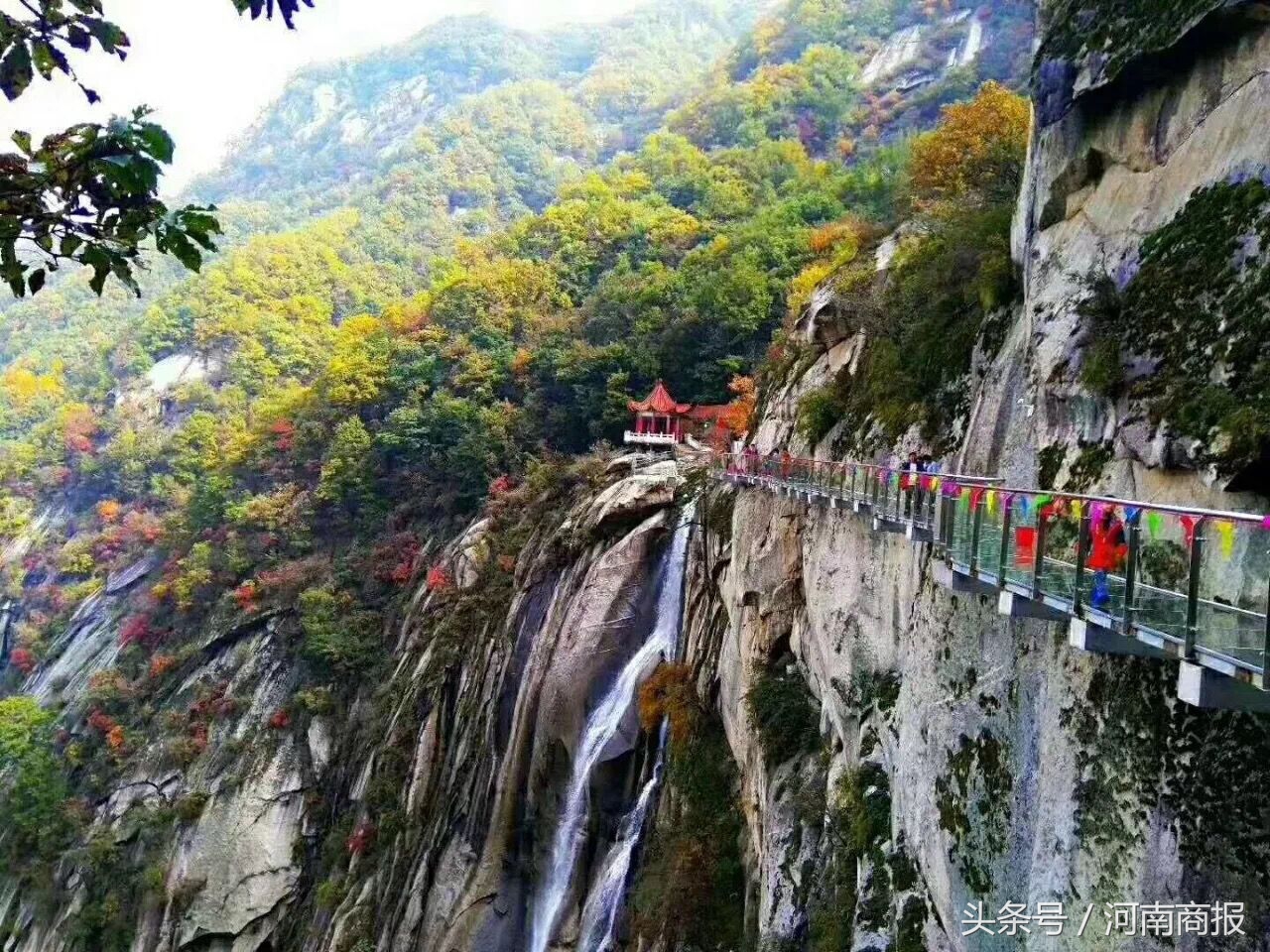 河南免高速费路段图解,河南高速公路免费通行时间和规定