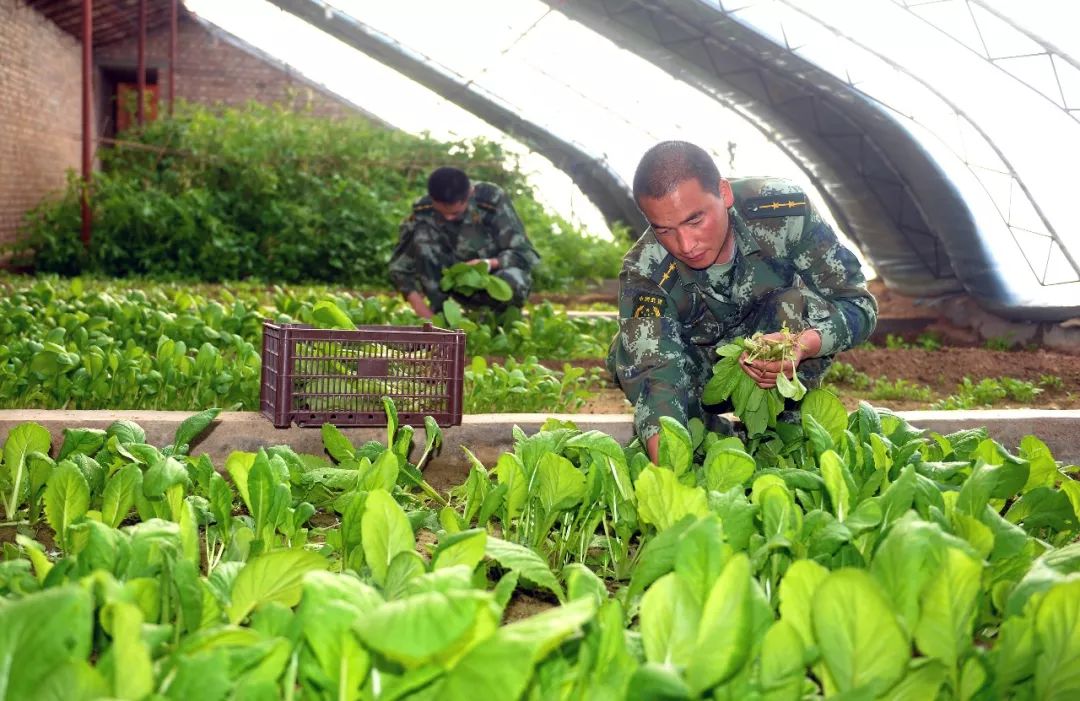 瀚海沙漠谱芳华——记额济纳旗算井子边防派出所民警乌其尔