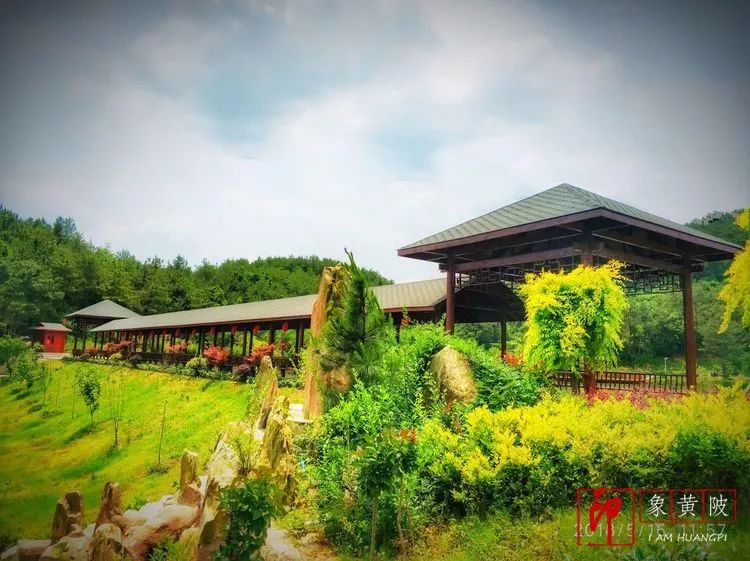 黄陂好景何处觅，火塔公路几十里