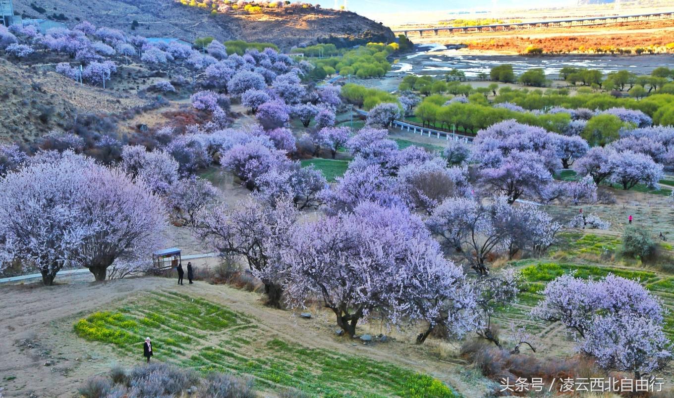 行，为寻三生三世桃花，却爱上了*藏西**的那抹蓝