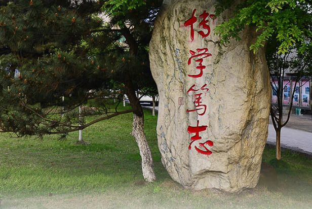 江西师大附中新校区,江西师大附中新龙校区最新进展