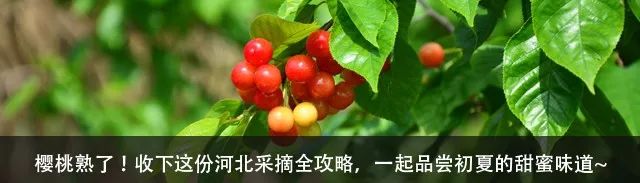 河北易水湖自驾一日游攻略,五一易水湖出游攻略