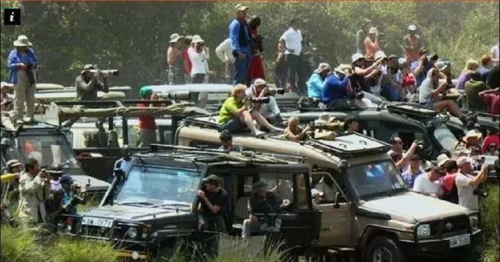 国庆一定带上孩子去看看,国庆想带小孩去玩