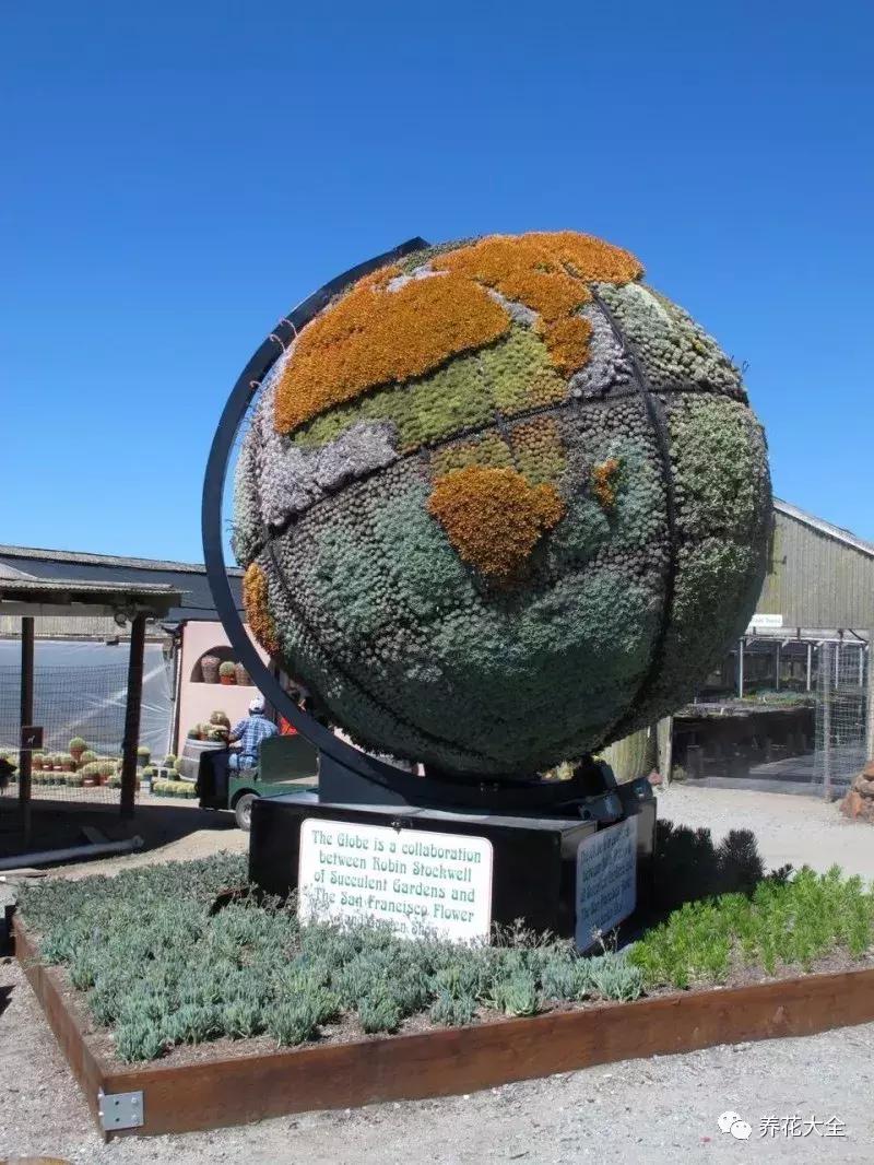 老外私家花园景观,国外多肉花园