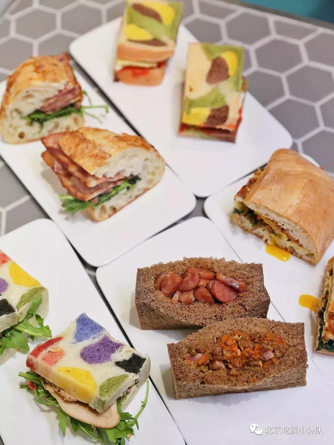 可爱的小奶狗吃冰激凌,小奶狗吃各种各样的冰淇淋