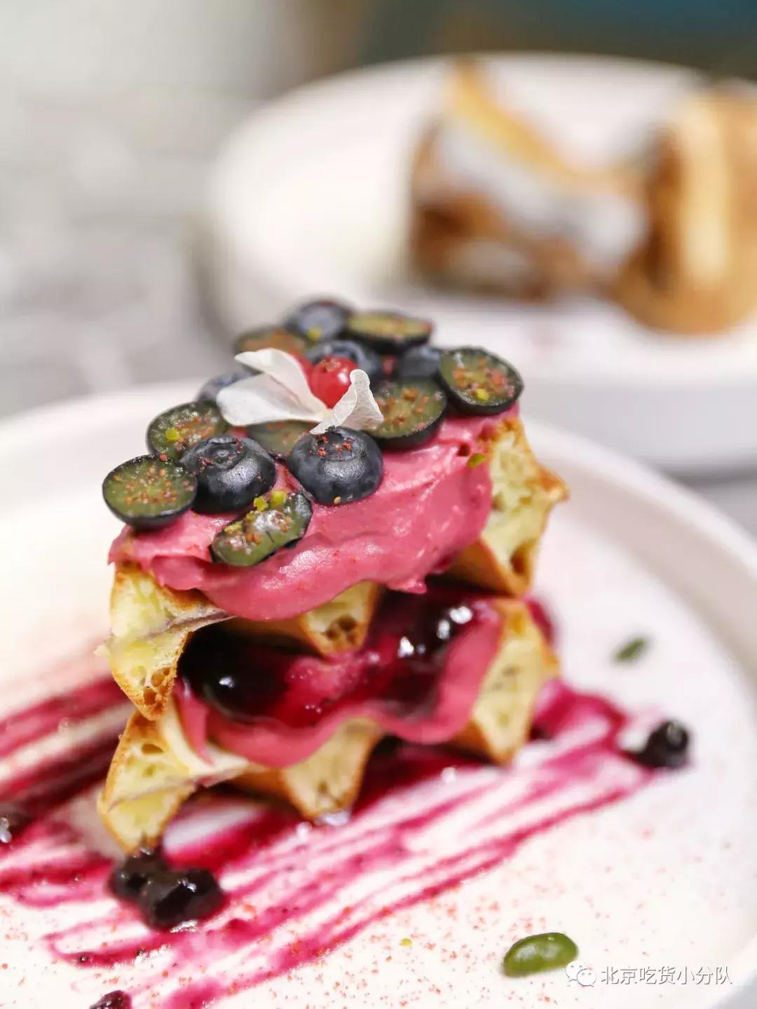 可爱的小奶狗吃冰激凌,小奶狗吃各种各样的冰淇淋