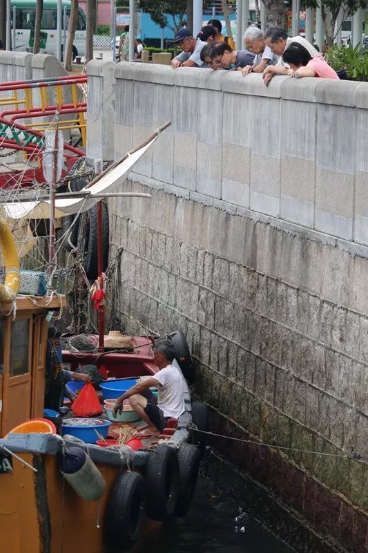 香港仔避风塘的介绍,香港仔避风塘图片