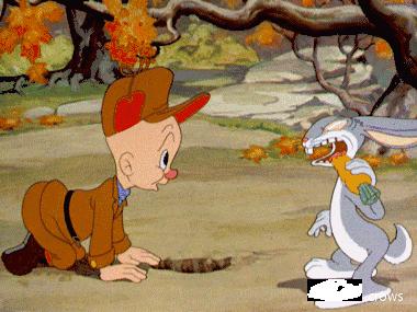 给兔八哥送声波的人是谁,给猫狗移植人类的大脑