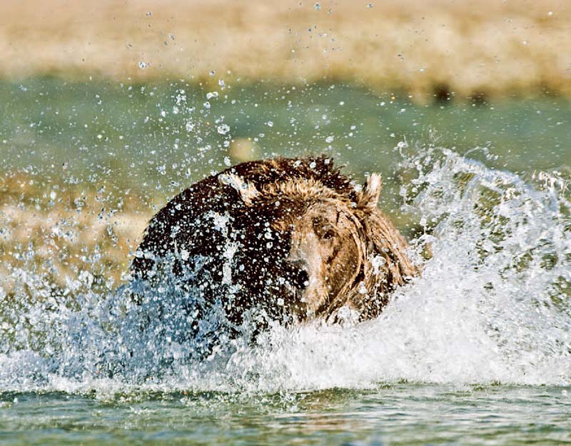 镜头功能介绍大全,怎么发挥手机镜头最大作用