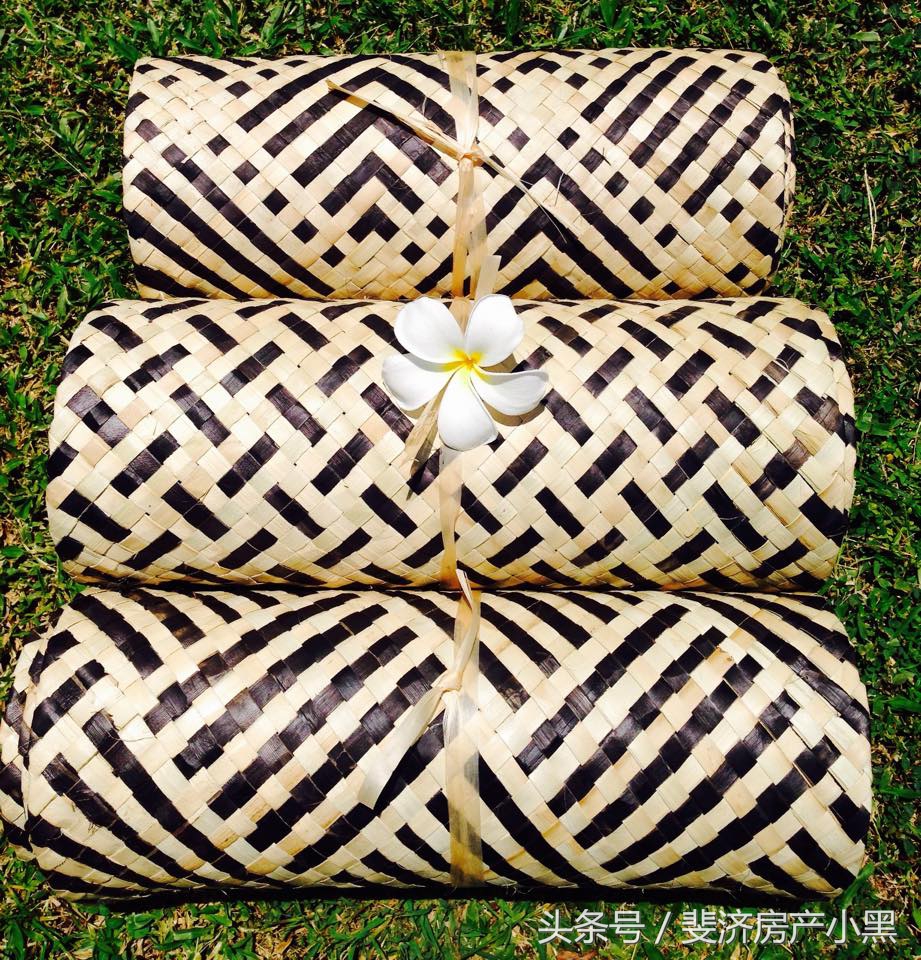 斐济旅游攻略必买清单及费用,去斐济的攻略