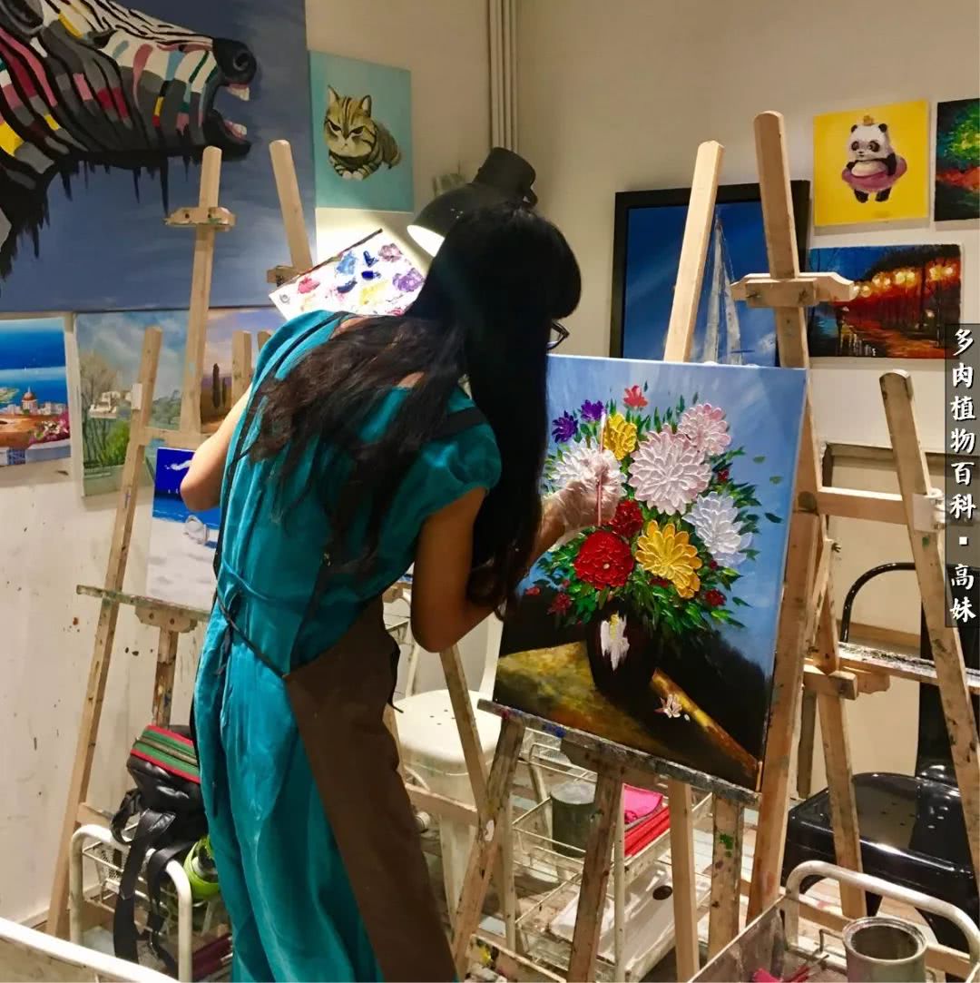 90张多肉图片——纪念入坑两周年！