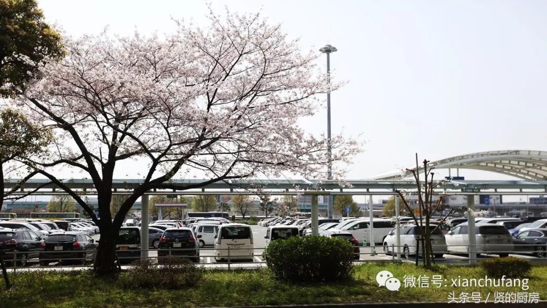 去日本自由行攻略大阪 (去日本京都自由行)