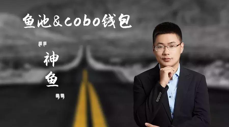 观赏鱼世界七彩神仙鱼,鱼池创始人毛世行