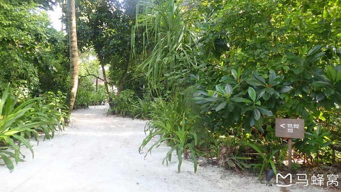 蜜月之都马尔代夫,蜜月旅行之马尔代夫