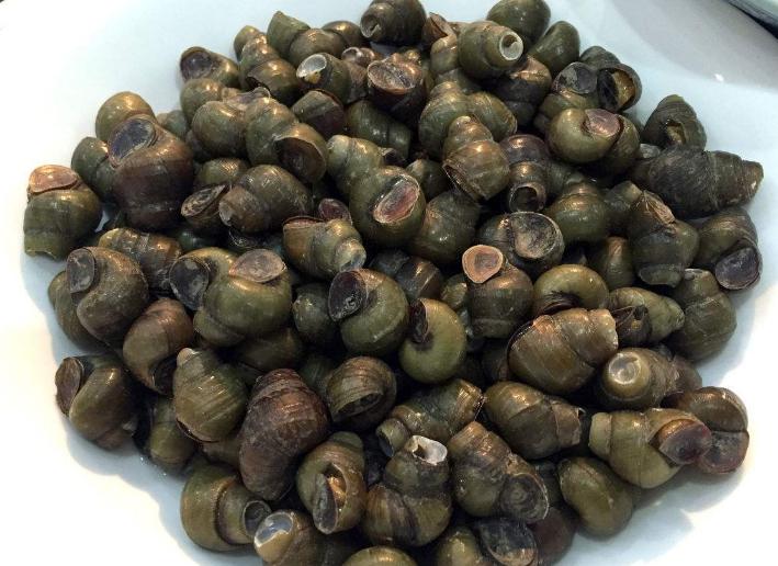 炒田螺的正确方法,怎样洗田螺做田螺好吃