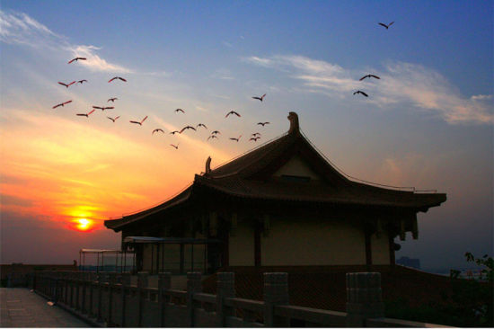 福建厦门海沧区,福建海沧区