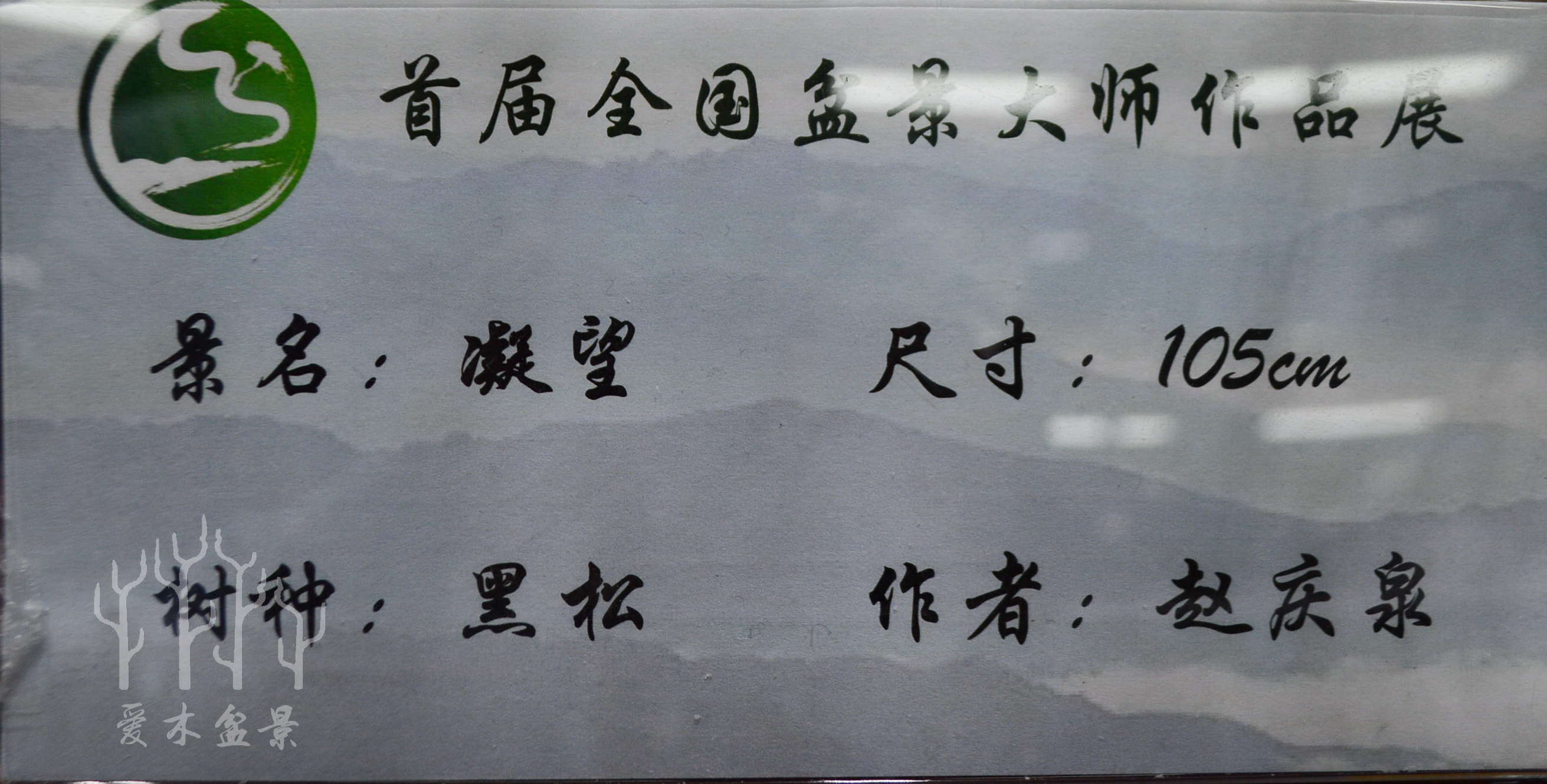 盆景大师张志刚简历,盆景大师张志刚所有作品欣赏